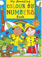 Load image into Gallery viewer, Colour by Numbers Book
